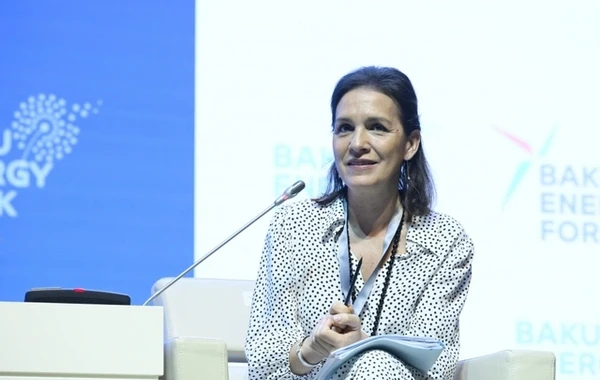 Bakı Enerji Forumunun ikinci günü başlayıb - FOTO