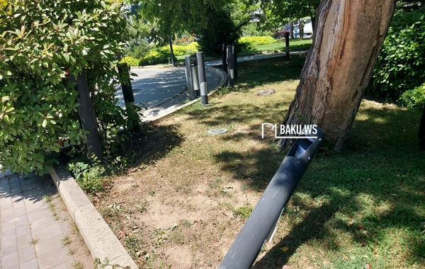 Bakıdakı bu parkda əyləşmək üçün skamya yoxdur - FOTO/VİDEO