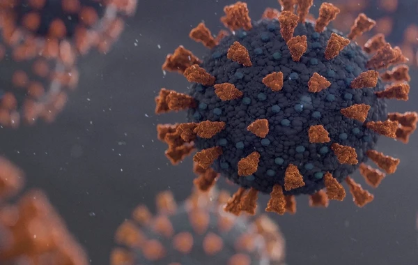 Azərbaycanda qarayaraya yoluxan şəxslərlə bağlı RƏSMİ AÇIQLAMA