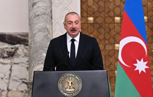 Azərbaycan və Misir prezidentləri mətbuata bəyanatlarla çıxış ediblər - YENİLƏNİB - FOTO