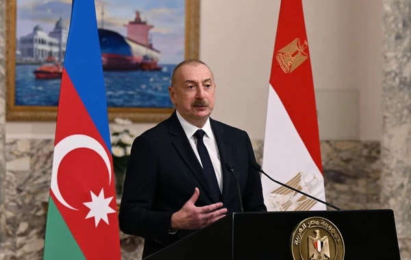 Azərbaycan və Misir prezidentləri mətbuata bəyanatlarla çıxış ediblər - YENİLƏNİB - FOTO