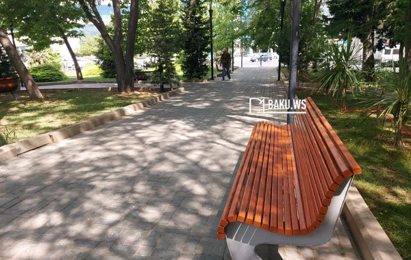 Bakıda müəmmalı olay - Gecə ilə parkda... - FOTO