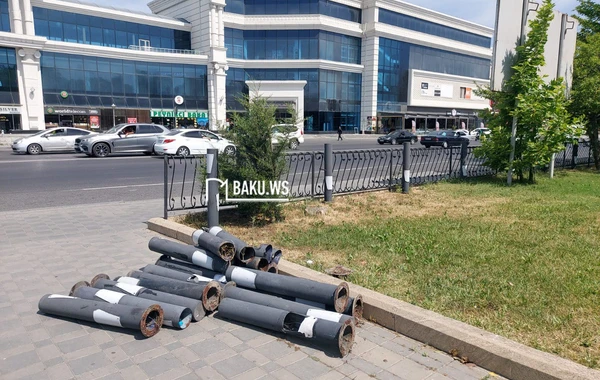 Bakıda müəmmalı olay - Gecə ilə parkda... - FOTO
