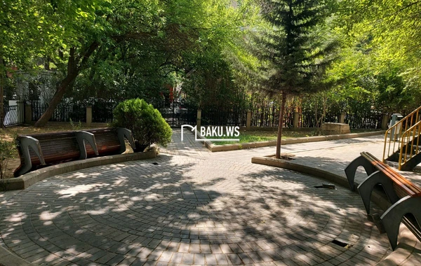 Bakıda müəmmalı olay - Gecə ilə parkda... - FOTO