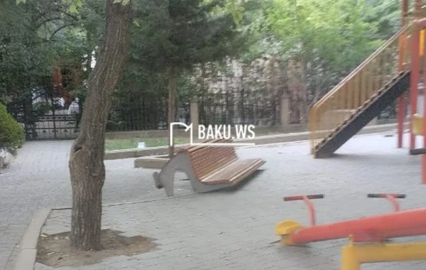 Bakıda müəmmalı olay - Gecə ilə parkda... - FOTO