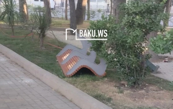 Bakıda müəmmalı olay - Gecə ilə parkda... - FOTO