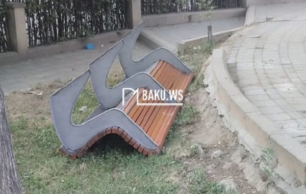 Bakıda müəmmalı olay - Gecə ilə parkda... - FOTO