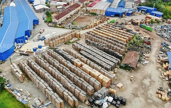 Məşhur mebel markası Rumıniya meşələrini məhv edir - FOTO