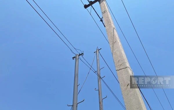 Lənkəranda rabitəçini elektrik cərəyanı vuraraq öldürüb - YENİLƏNİB - FOTO