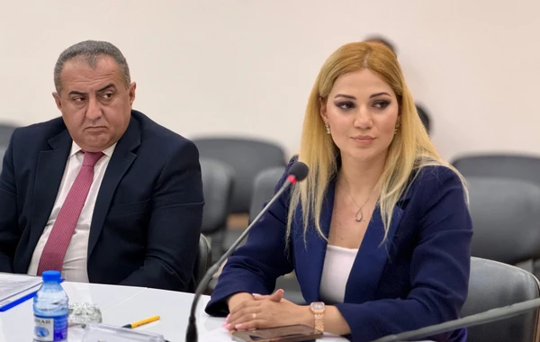 Jurnalistlər “İnsan hüquqları aylığı” çərçivəsində keçirilən təlimdə iştirak ediblər - FOTO
