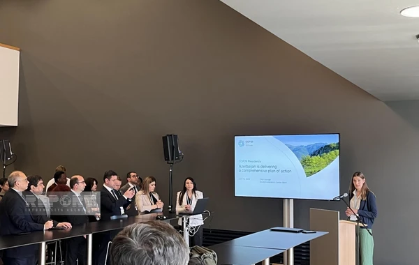 Azərbaycan COP29-la bağlı hərtərəfli fəaliyyət planını Almaniyada təqdim edib - FOTO