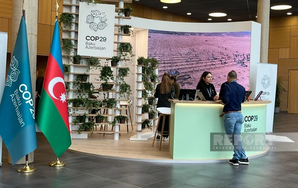 Азербайджан представил в Германии комплексный план действий в связи с COP29 - ФОТО