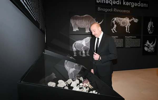 İlham Əliyev Palçıq Vulkanları Turizm Kompleksinin açılışında iştirak edib - FOTO