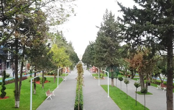 Bakıda yeni parklar salınır
