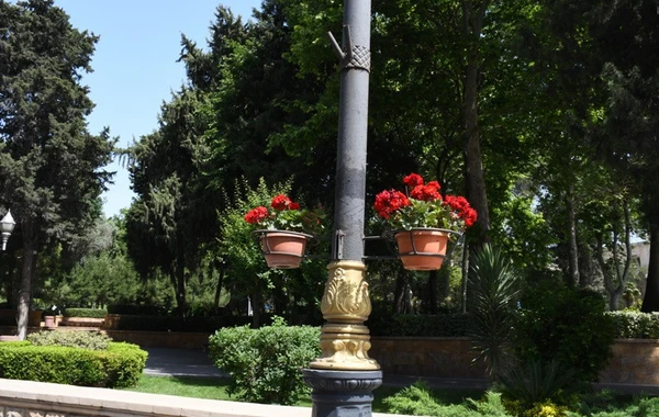 Bakıda yeni parklar salınır