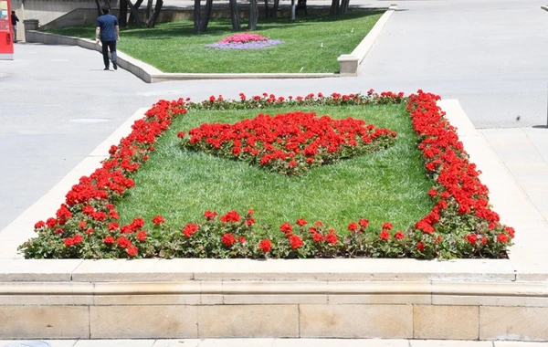 Bakıda yeni parklar salınır