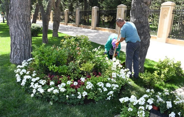 Bakıda yeni parklar salınır
