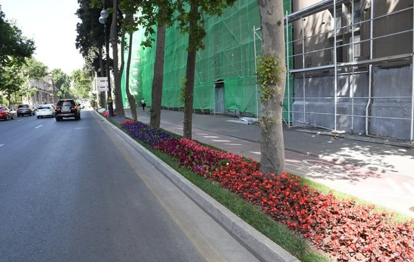 Bakıda yeni parklar salınır