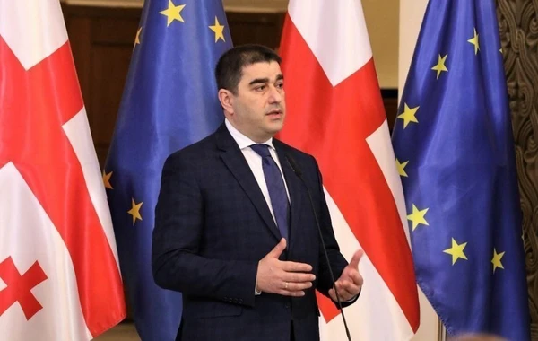 Şalva Papuaşvili: Saakaşvilinin partiyası hakimiyyətə qayıtsa, bütün Gürcüstanı edam gözləyir