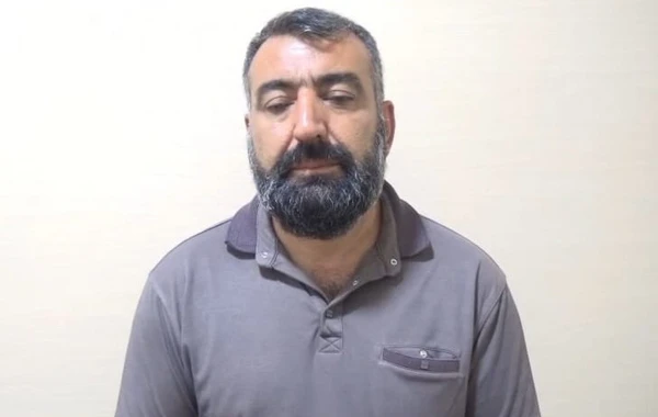 Bərdədə 22 kq-lıq 105 çətənə kolu aşkarlanıb - FOTO
