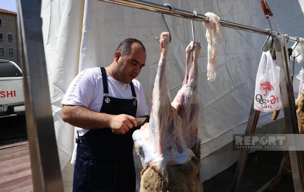 32 ildən sonra ilk dəfə Şuşaya köçürülmüş sakinlər üçün qurbanlar kəsilib - FOTO