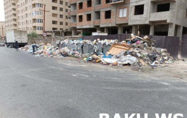Зловонная свалка в Хырдалане угрожает здоровью жителей - ФОТО
