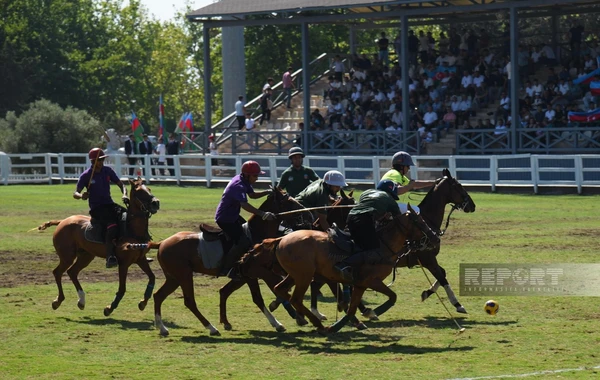 Azərbaycan millisi dünya çempionu olub - FOTO