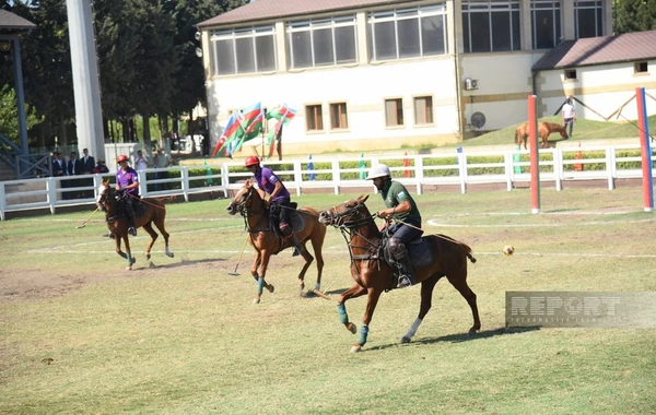 Azərbaycan millisi dünya çempionu olub - FOTO