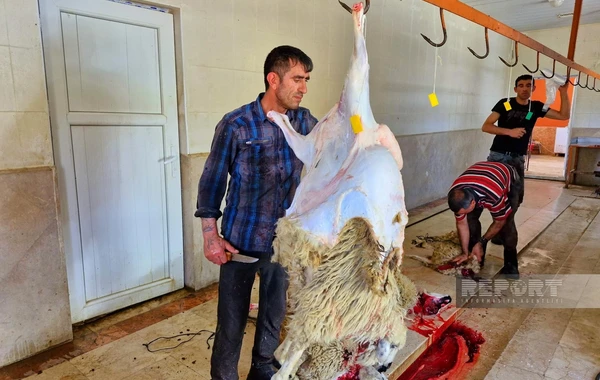 Qurban bayramında ən çox ziyarət olunan məkanlardan biri - FOTOREPORTAJ
