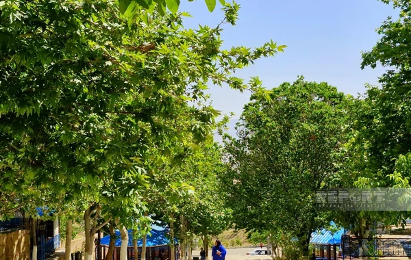Qurban bayramında ən çox ziyarət olunan məkanlardan biri - FOTOREPORTAJ