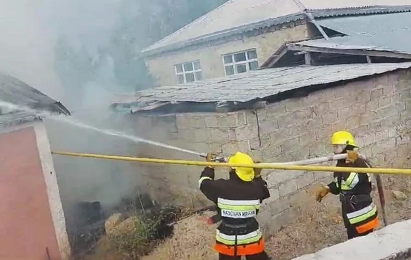 Ordubad, Babək və Şərur rayonlarında yanğınlar olub - FOTO/VİDEO