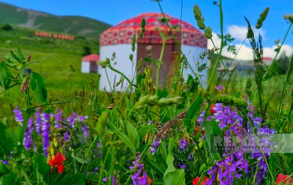 “Qərbi Azərbaycana qayıdış” ikinci festival-konqresinə hazırlıq yekunlaşmaq üzrədir - FOTO