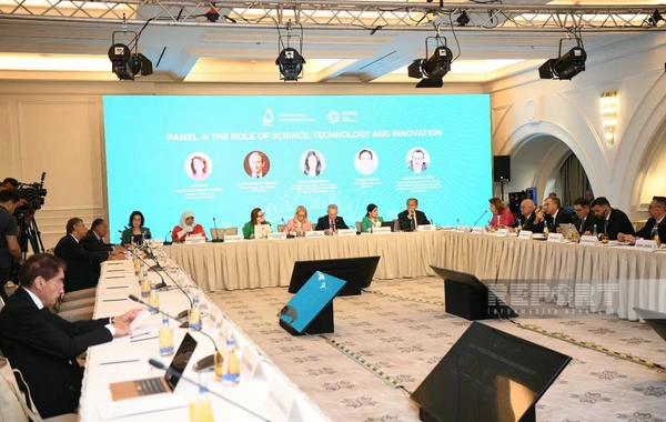 В Баку стартовал второй день встречи высокого уровня "Путь к COP29: Устойчивое и прочное будущее"