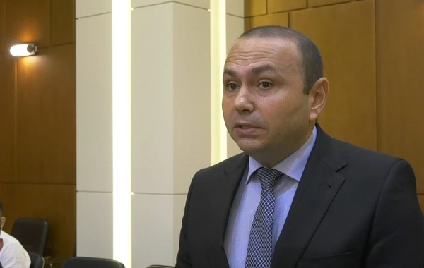 YAP-çı deputatlar növbədənkənar parlament seçkiləri ilə bağlı Parlamentə müraciət edəcəklər - FOTO