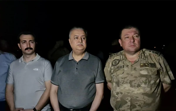 Türkiyədə meşə yanğını - Ölənlərin sayı artır - YENİLƏNİB - FOTO