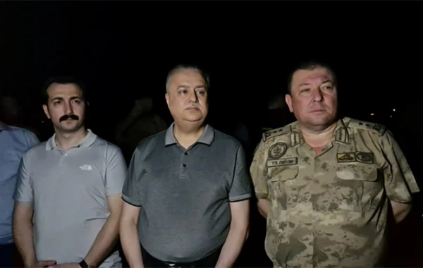 Масштабный лесной пожар в Турции: 5 погибших, десятки раненых - ФОТО