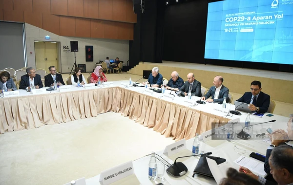 Zəngilanda “COP29-a aparan yol: Dayanıqlı və davamlı gələcək” mövzusunda yüksək səviyyəli görüş davam edir - FOTO