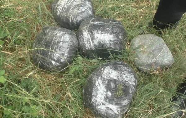 Şəmkirdə polis narkotiklərin satışında təqsirləndirilən şəxsi saxlayıb - FOTO