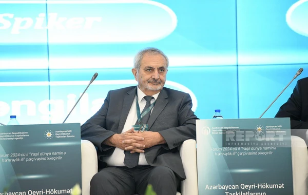 Azərbaycan QHT-ləri Ermənistanın dağ-mədən sənayesinin ekoloji fəsadlarını müzakilə ediblər - FOTO