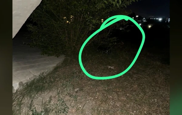 Gəncədə narkokuryerdən 20 kq-dan çox heroin aşkarlanıb - FOTO
