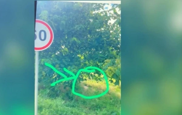 Tovuzda narkokuryer saxlanılıb - FOTO