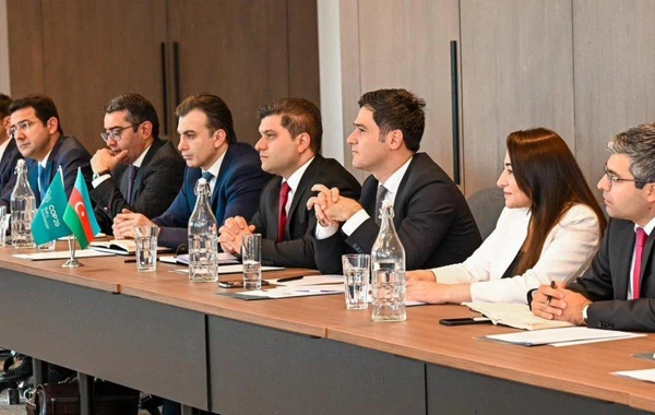 COP29 danışıqlar qrupu Rusiya nümayəndə heyəti ilə məsləhətləşmələr aparıb - FOTO