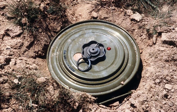 Belçika Azərbaycana minatəmizləmə üçün 250 min avro ayırıb