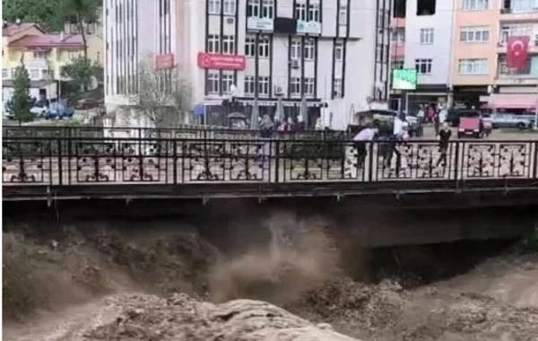 Türkiyənin iki şəhərinə sel gəldi, ölənlər var - FOTO/VİDEO