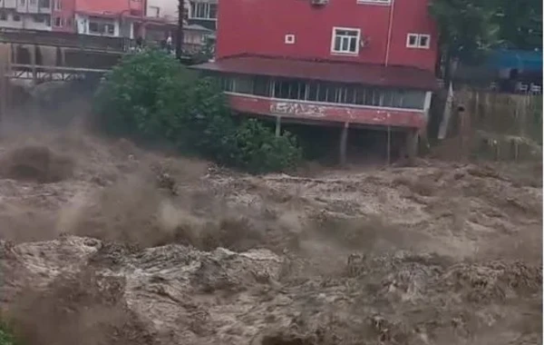 Türkiyənin iki şəhərinə sel gəldi, ölənlər var - FOTO/VİDEO