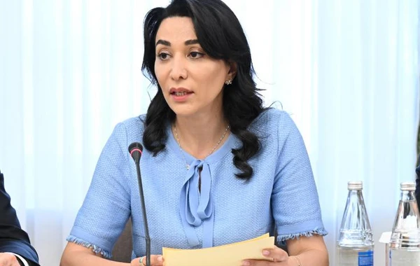 COP29 ilə əlaqədar Təşkilat Komitəsinin beşinci iclası keçirilib - FOTO