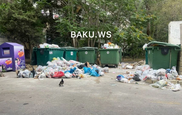 Bakıda zibilliyə dönən küçə təmizləndi - ƏVVƏL/SONRA