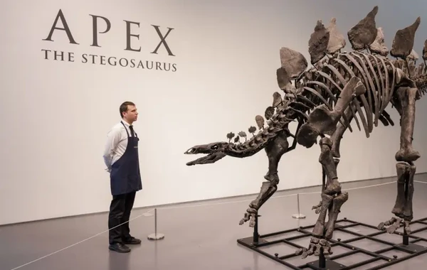 Dünyanın ən bahalı dinozavr fosili 44,6 milyona satıldı - FOTO