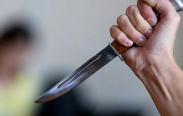 Anasını qətlə yetirməkdə şübhəli bilinən şəxs barəsində cinayət işi açılıb