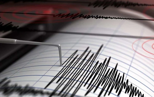 В Турции произошло землетрясение магнитудой 4,1